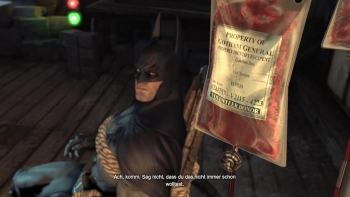 Batman - Arkham City Screenshot